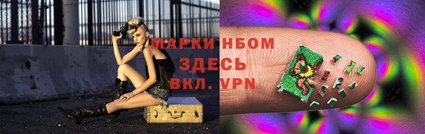 ешки Алексин