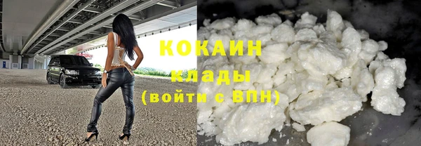 ешки Алексин