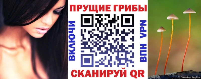 Псилоцибиновые грибы прущие грибы  наркошоп  Нижние Серги 